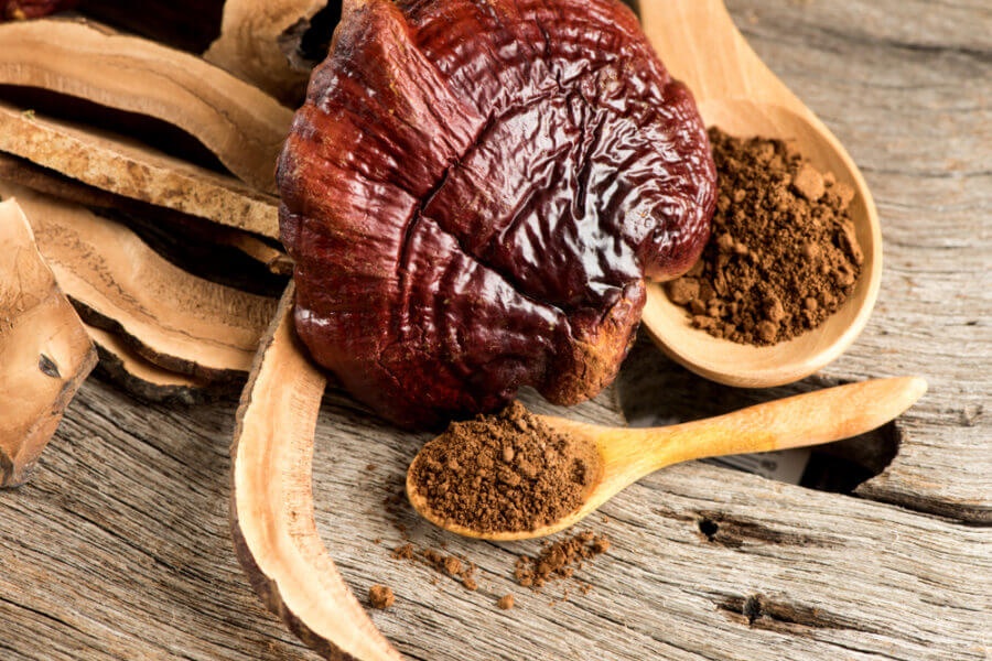 reishi mushroom benefits