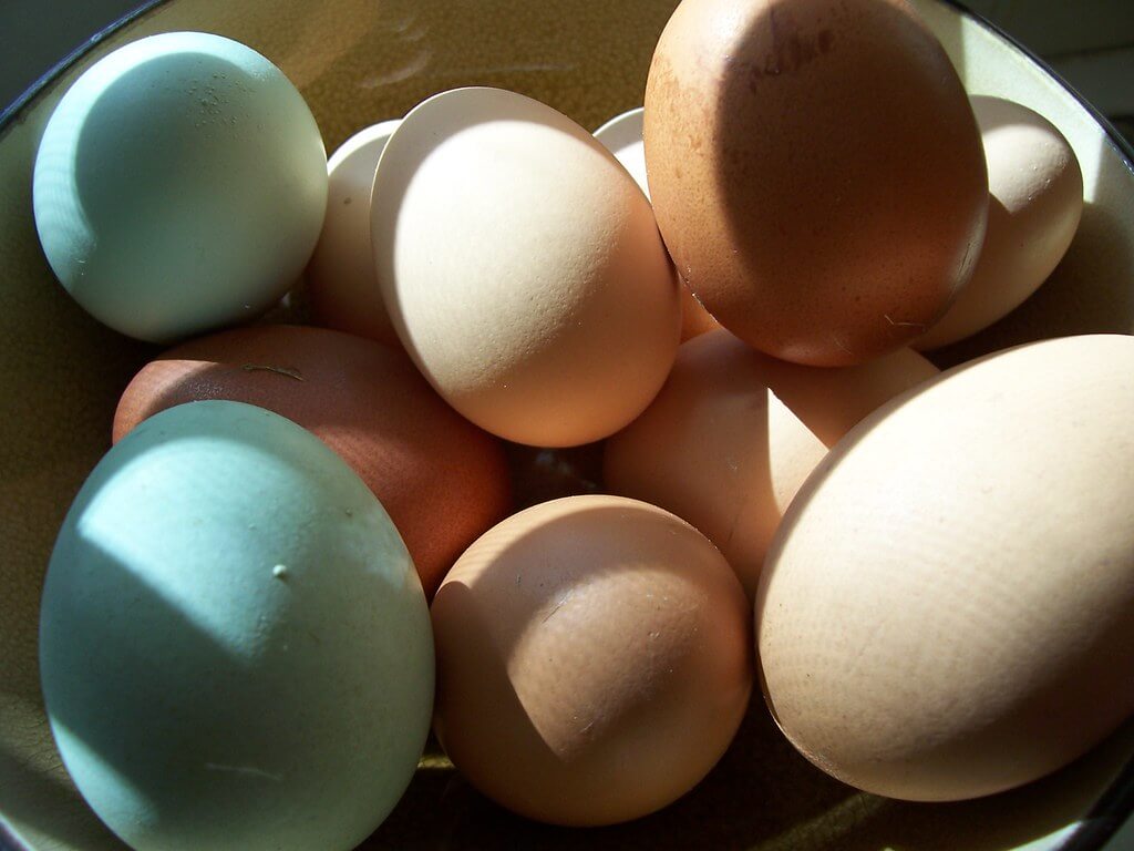 pastured eggs are one of the best foods for depression