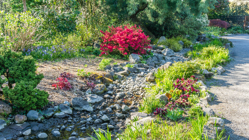 colorful plants